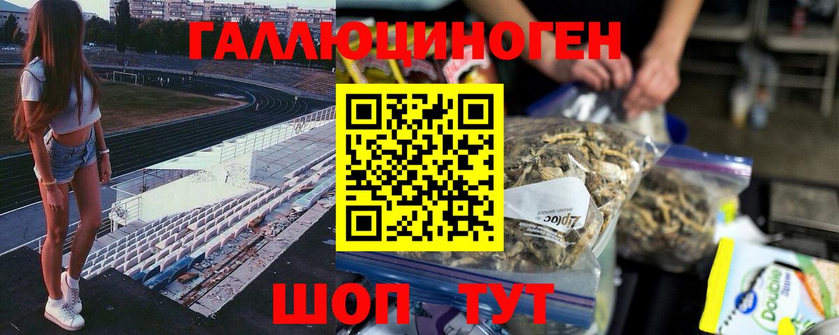Галлюциногенные грибы Psilocybine cubensis Солнечногорск