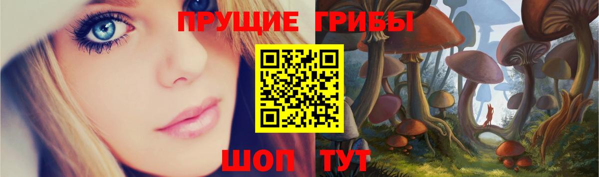 Солнечногорск  Галлюциногенные грибы MAGIC MUSHROOMS  Вход с VPN 